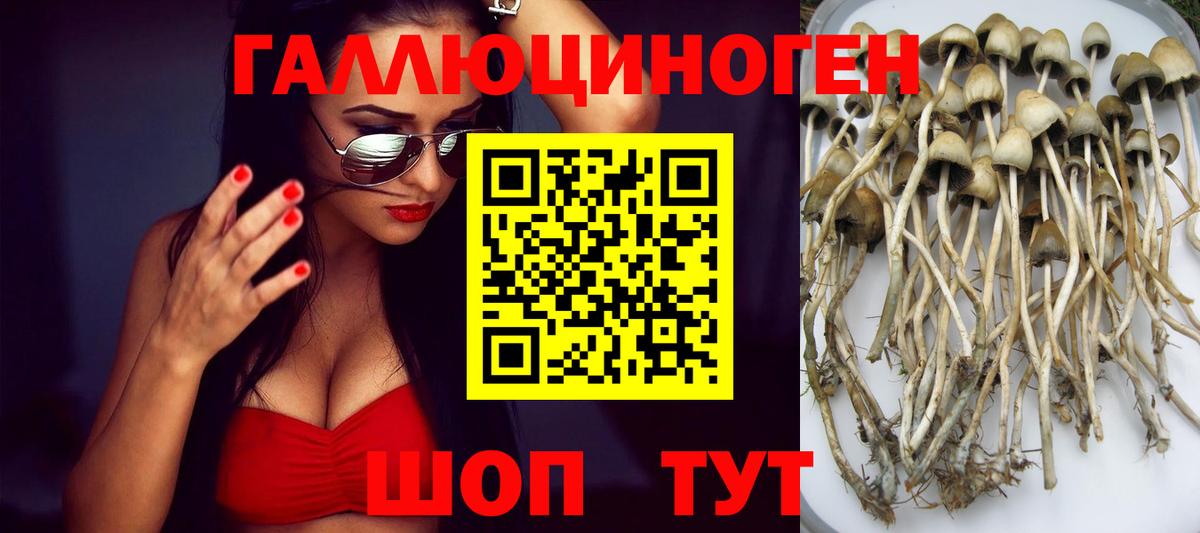 Галлюциногенные грибы ЛСД Озёрск