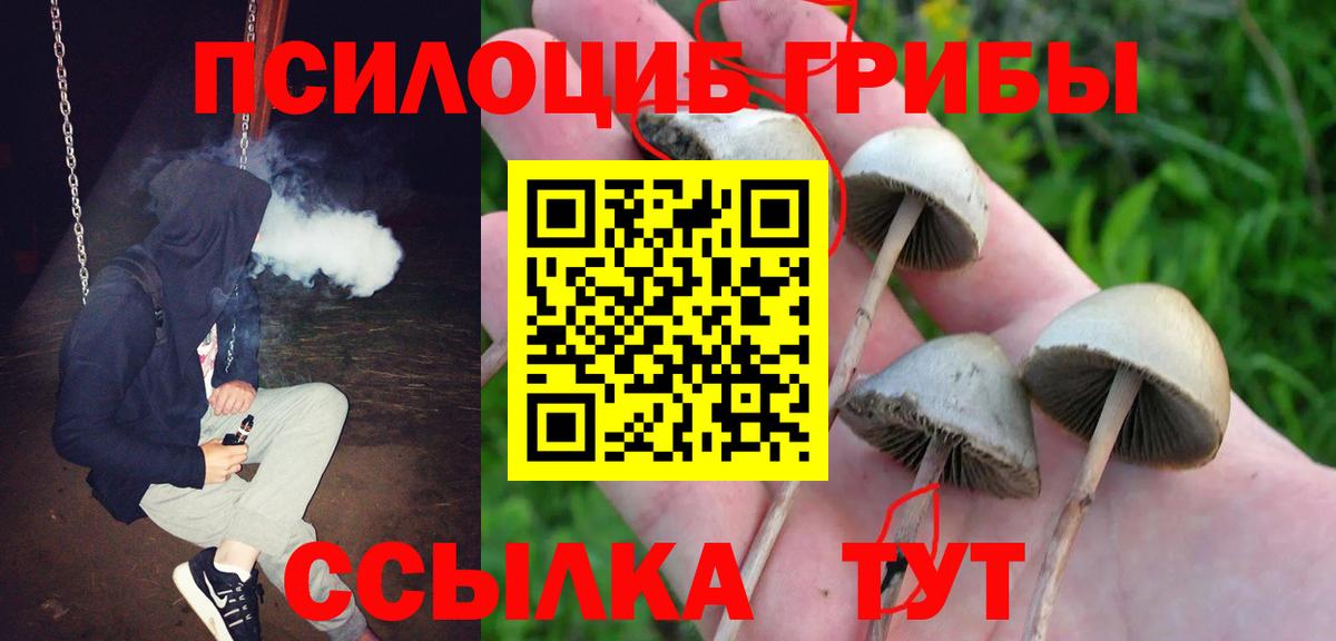 Псилоцибиновые грибы Magic Shrooms  наркотики  Озёрск  Вход с VPN 